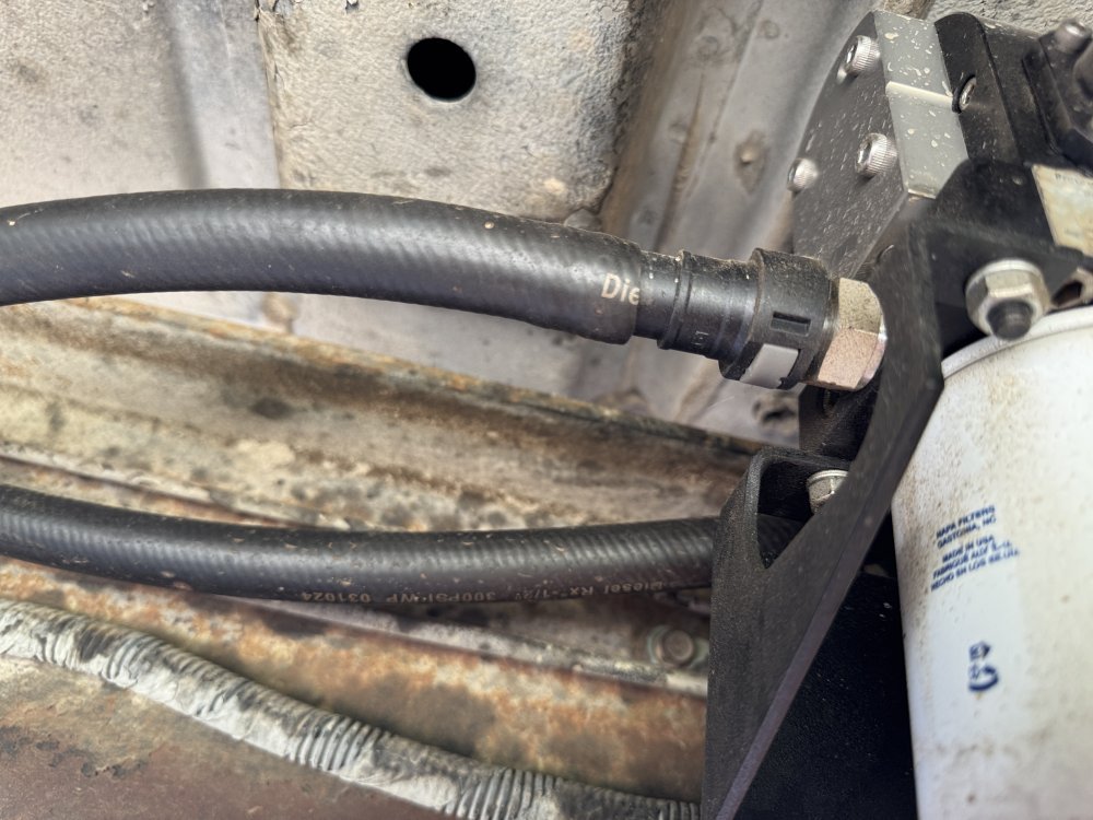 IMG_3102.jpeg IMG_3102.jpeg