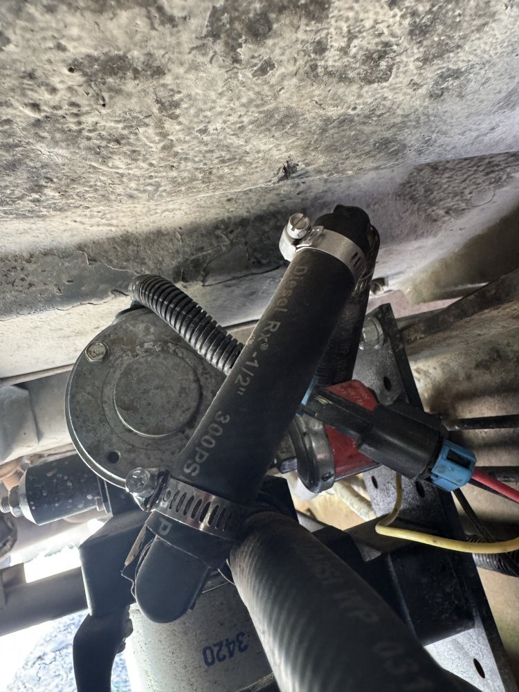 IMG_3103.jpeg IMG_3103.jpeg