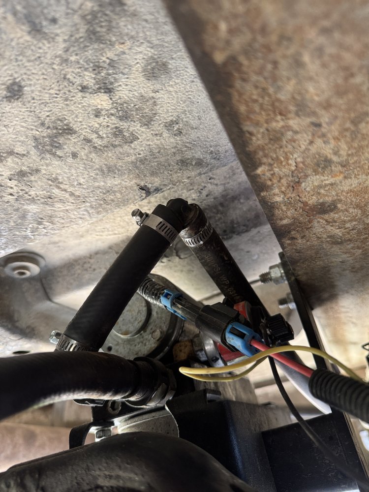 IMG_3104.jpeg IMG_3104.jpeg