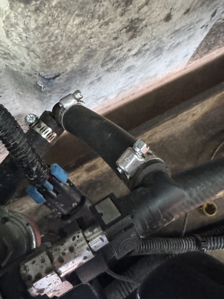 IMG_3106.jpeg IMG_3106.jpeg