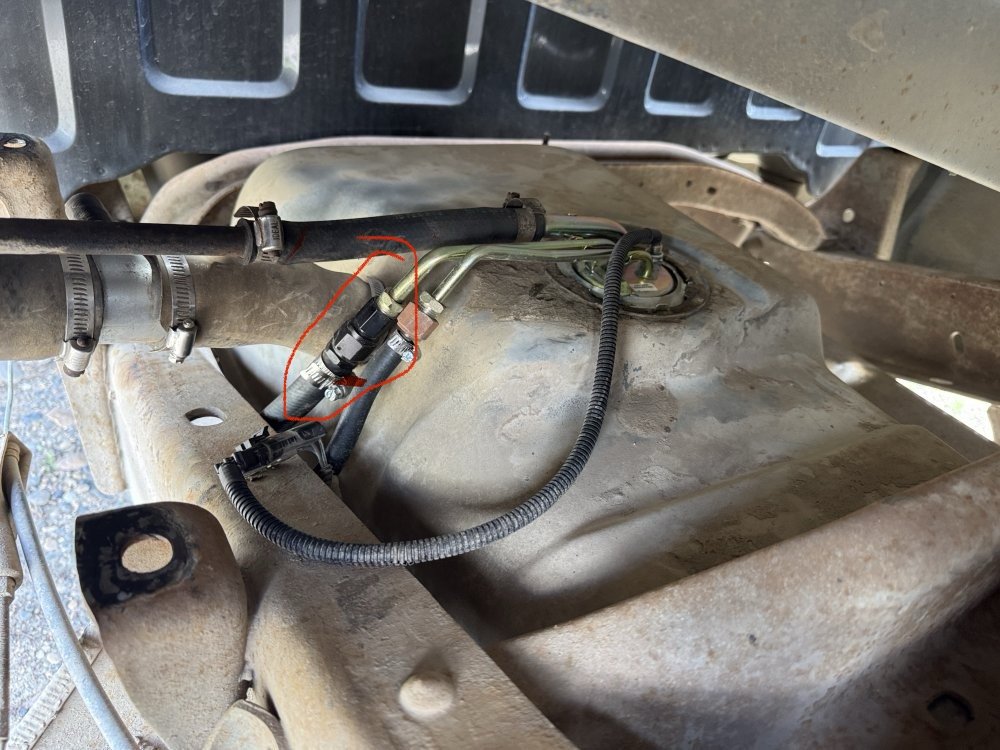 IMG_8540.jpeg IMG_8540.jpeg