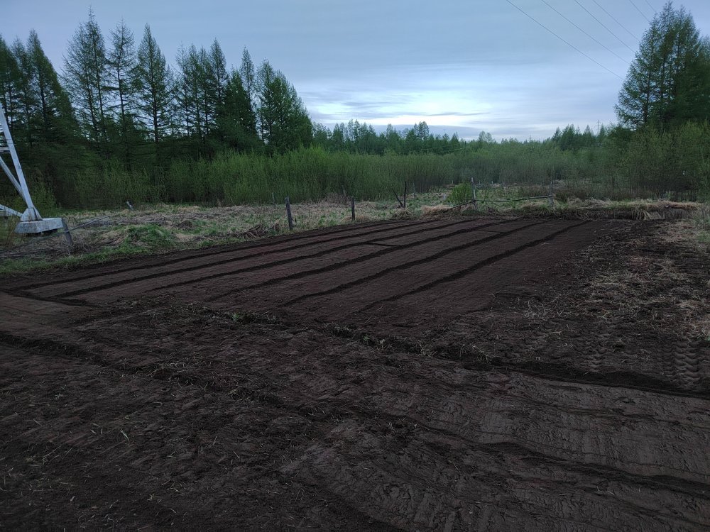 IMG_20250602_210333.jpg IMG_20250602_210333.jpg