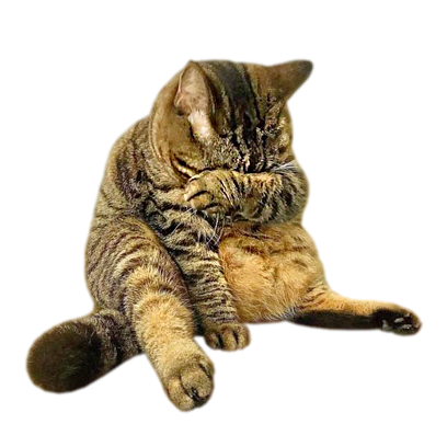 1750540995196.png