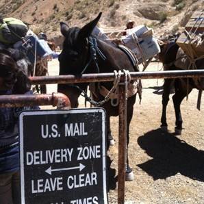Mail.jpg