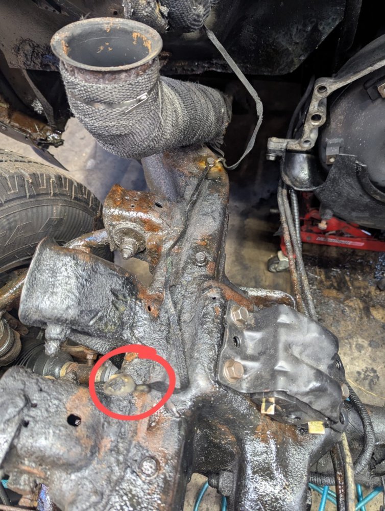 PXL_20250727_220314799~2 (Large).jpg