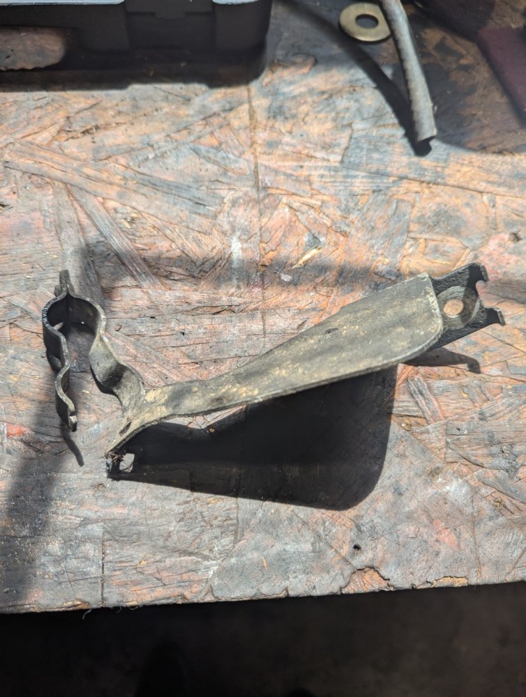 PXL_20250802_161409499 (Large).jpg