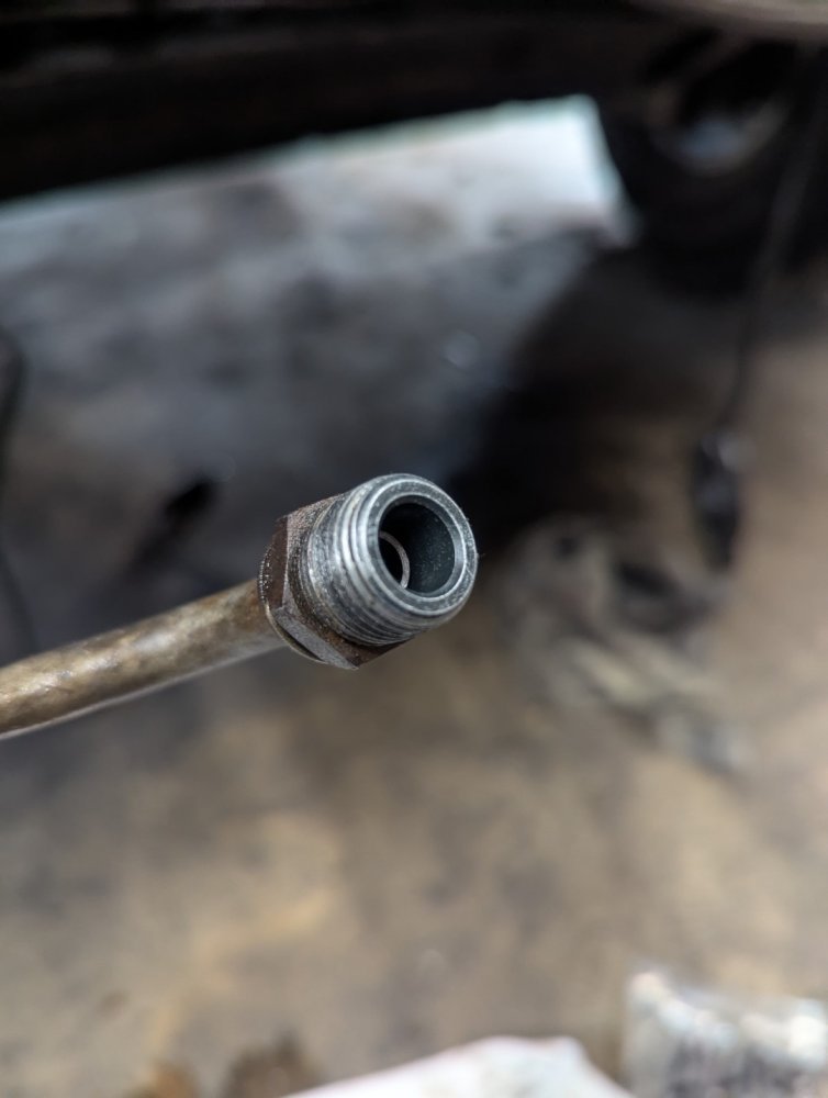 PXL_20250808_222522093 (Large).jpg