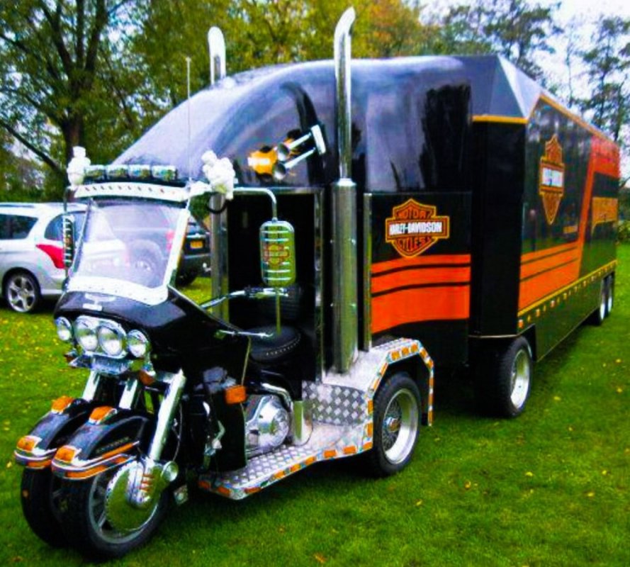 Motorcycle Towing Horse Trailer.jpg