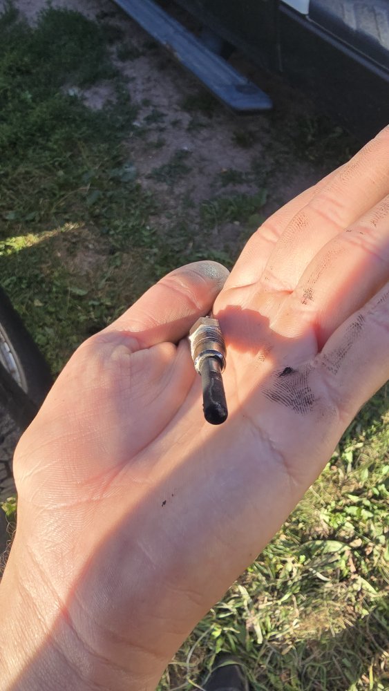 20250911_172533.jpg 20250911_172533.jpg