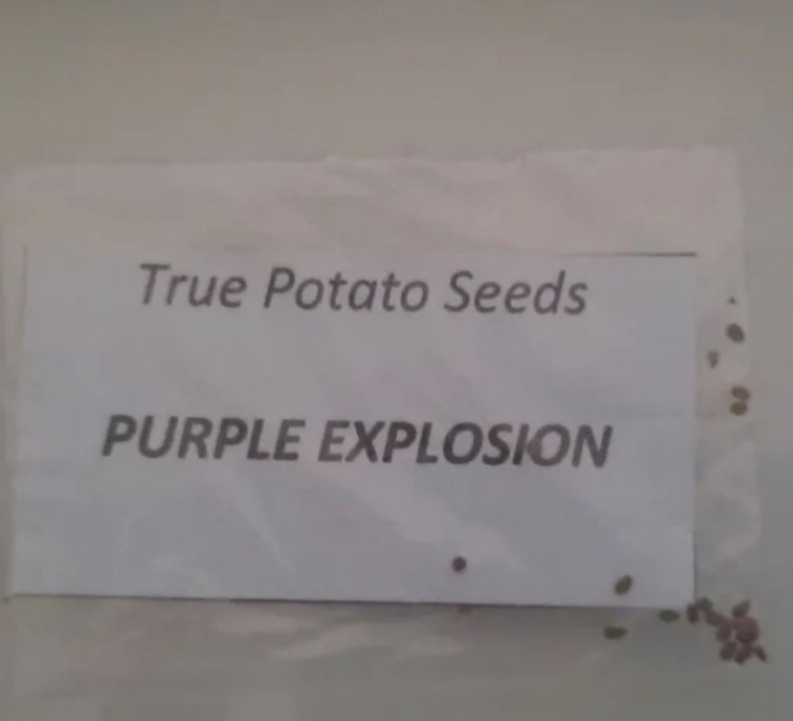 Screenshot_20250928_093122.jpg Screenshot_20250928_093122.jpg