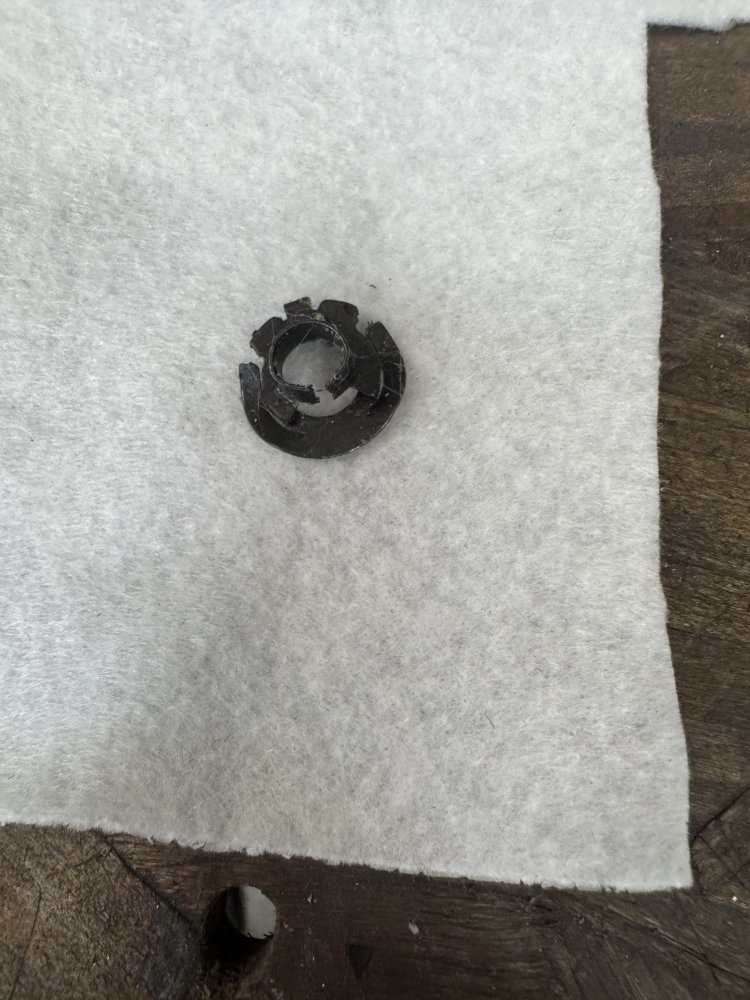 IMG_4476.jpeg IMG_4476.jpeg