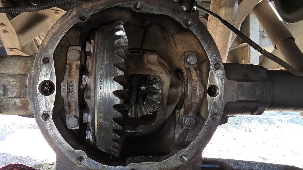 20251019_164926.jpg 20251019_164926.jpg