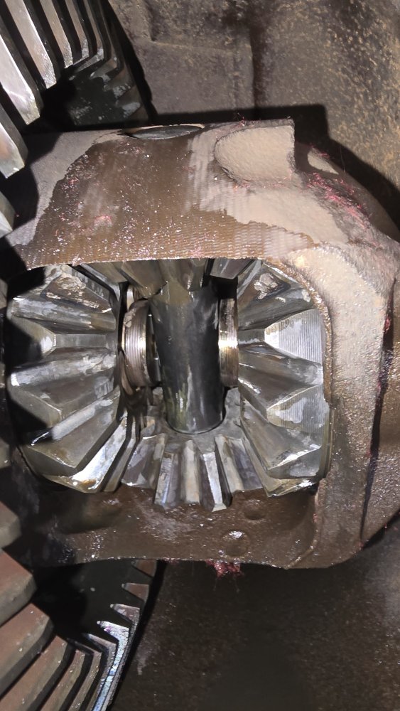 20251019_164936.jpg 20251019_164936.jpg