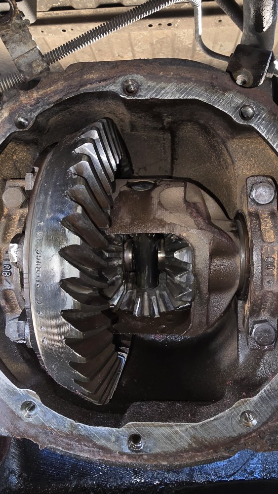 20251019_164944.jpg 20251019_164944.jpg