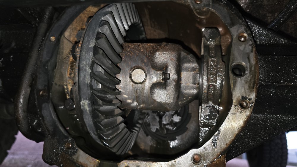 20251019_180527.jpg 20251019_180527.jpg