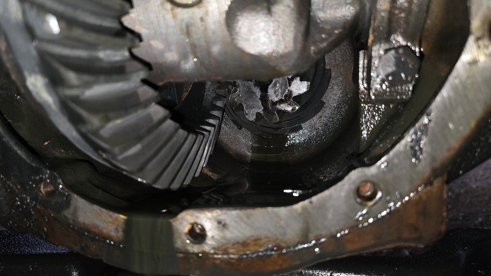 20251019_180512.jpg 20251019_180512.jpg