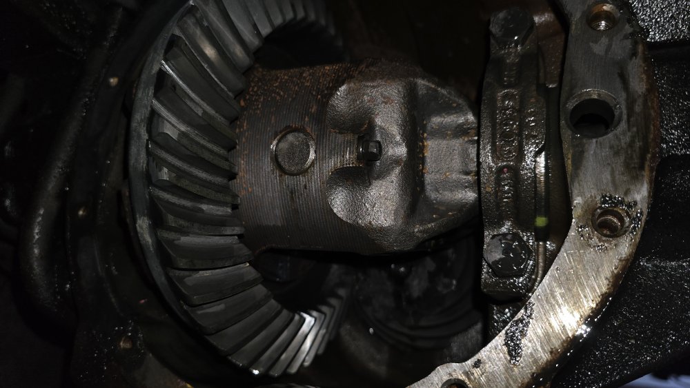 20251019_180450.jpg 20251019_180450.jpg