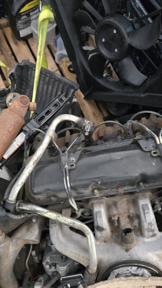 20251019_141849.jpg 20251019_141849.jpg