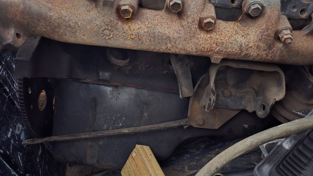 20251019_144234.jpg 20251019_144234.jpg