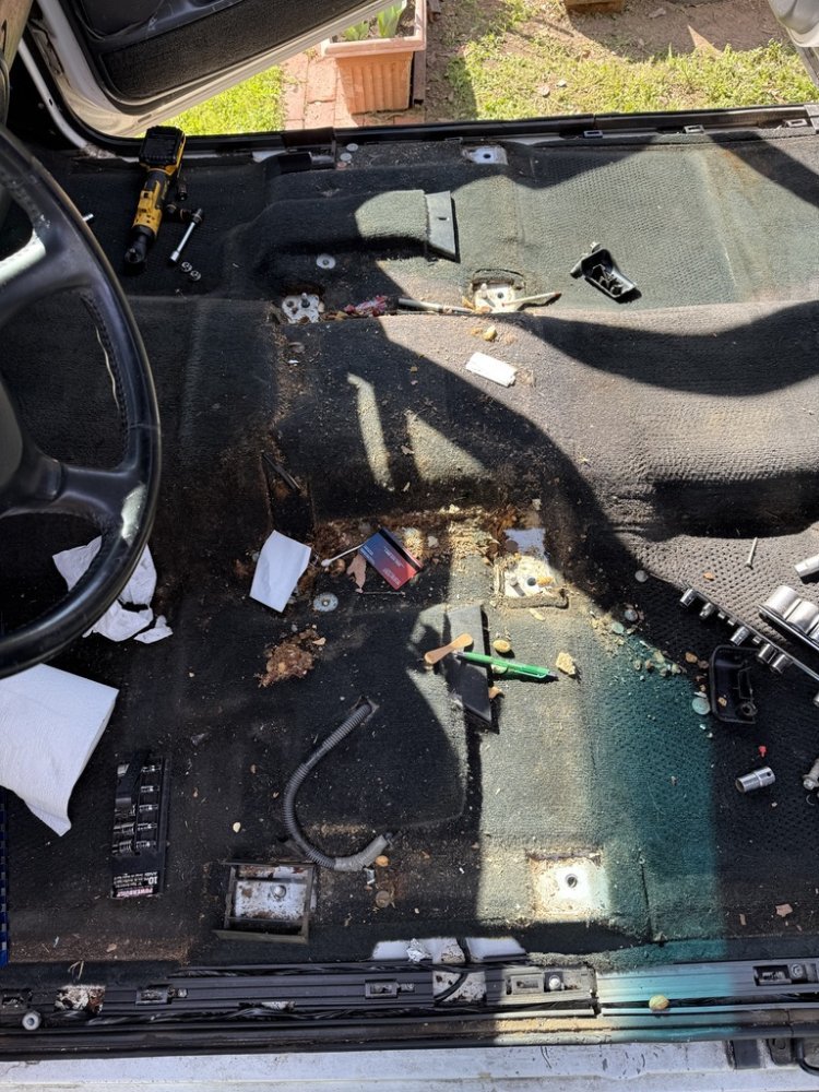 1761732612661.jpeg 1761732612661.jpeg