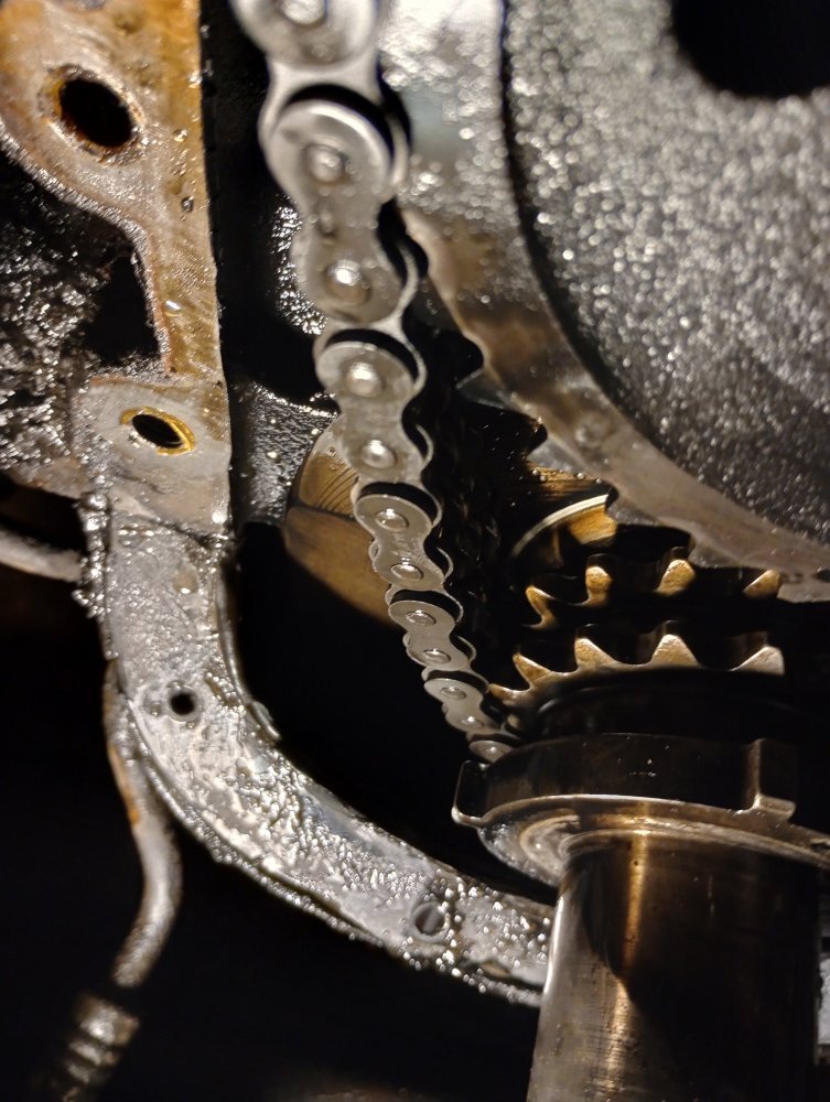 IMG_20251105_171253572_HDR.jpg IMG_20251105_171253572_HDR.jpg