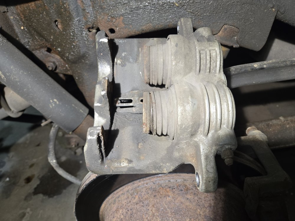 20251107_095602.jpg 20251107_095602.jpg