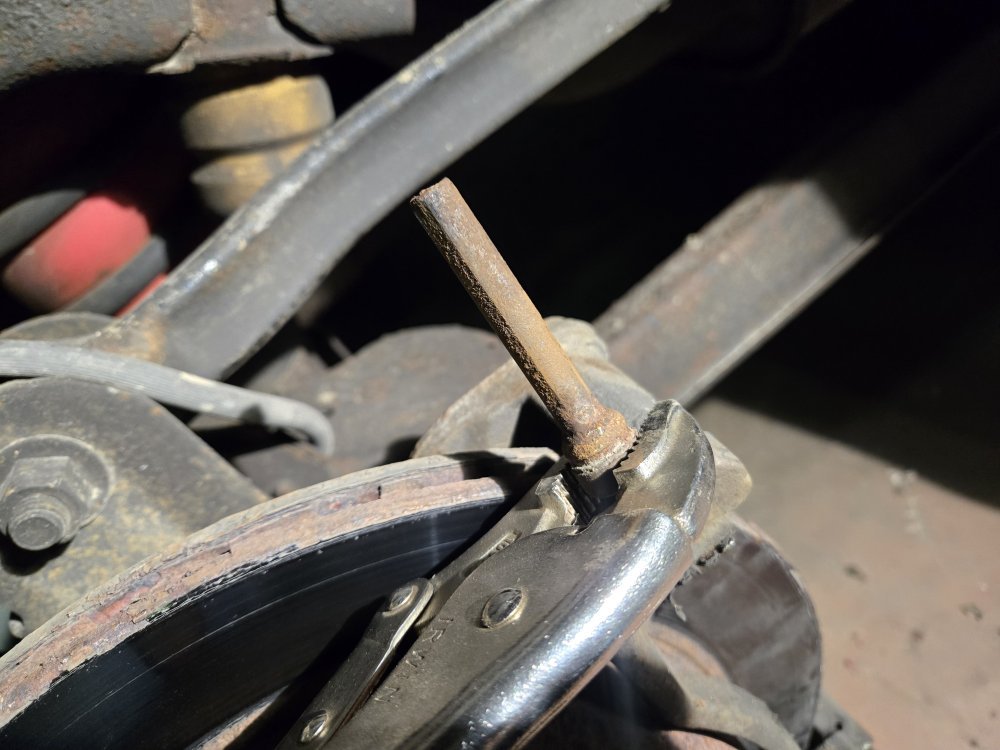 20251107_100853.jpg 20251107_100853.jpg