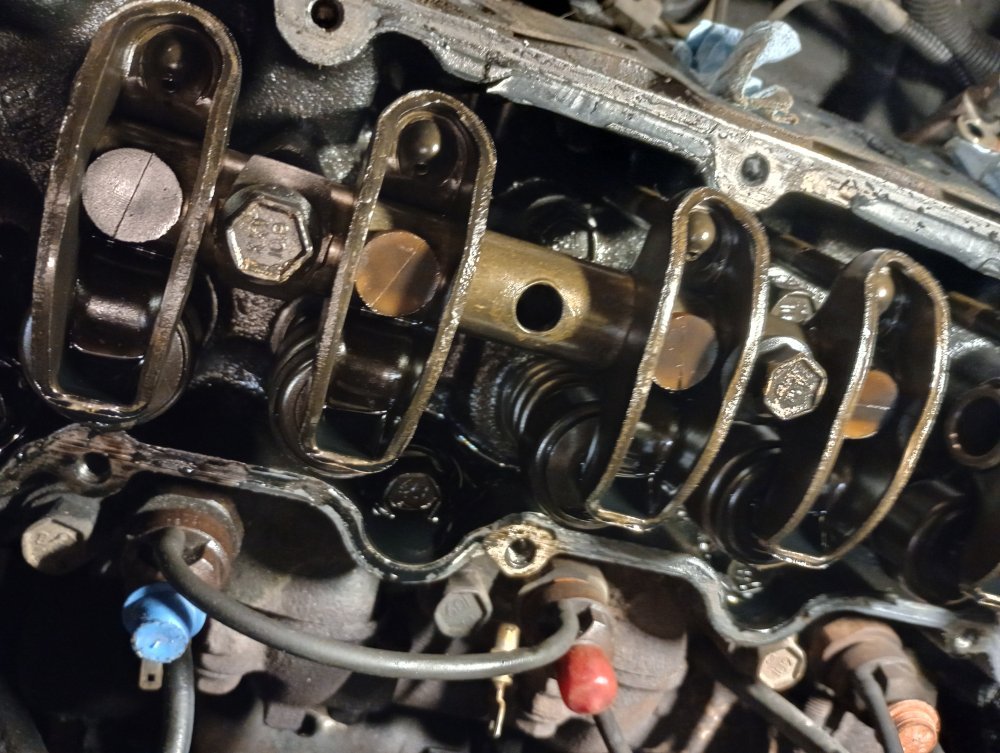 IMG_20251110_103024655_HDR.jpg IMG_20251110_103024655_HDR.jpg