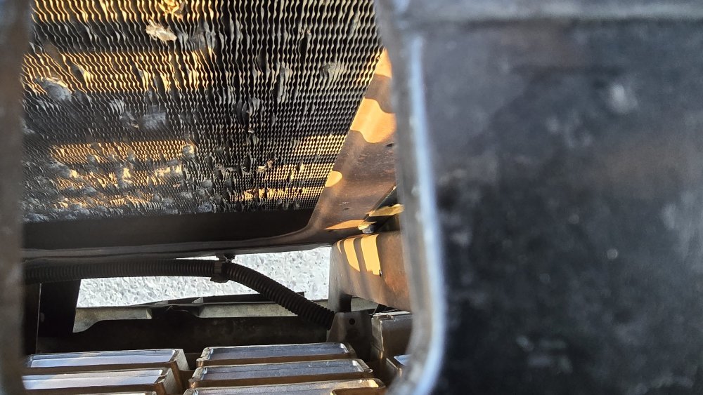 20251113_161044.jpg 20251113_161044.jpg