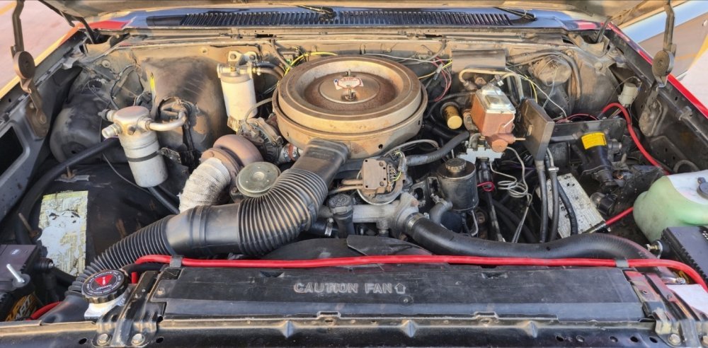 Screenshot_20251113_213805_Gallery.jpg Screenshot_20251113_213805_Gallery.jpg