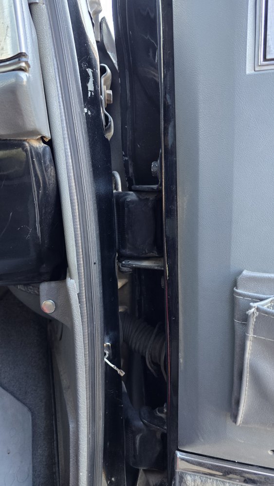 20251116_123953.jpg 20251116_123953.jpg