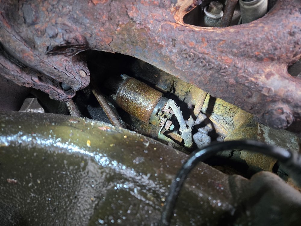 20251122_115019.jpg 20251122_115019.jpg