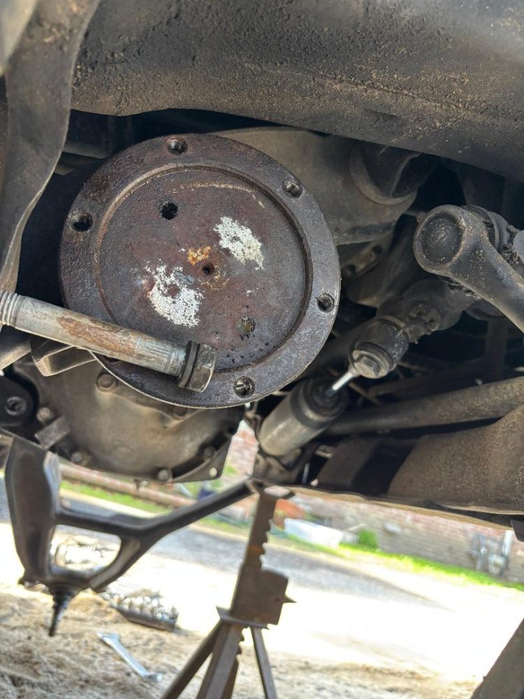 IMG_1621.jpeg IMG_1621.jpeg