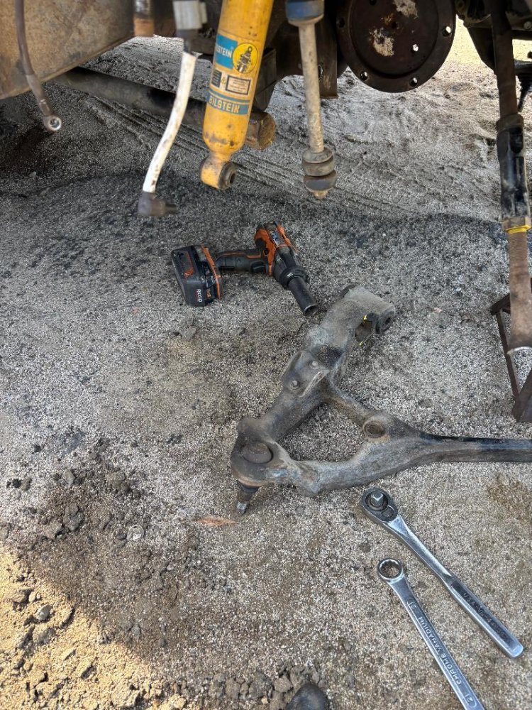 IMG_1622.jpeg IMG_1622.jpeg