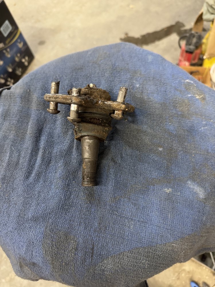 IMG_5316.jpeg IMG_5316.jpeg