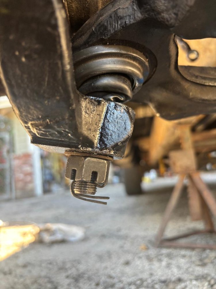 IMG_1741.jpeg IMG_1741.jpeg