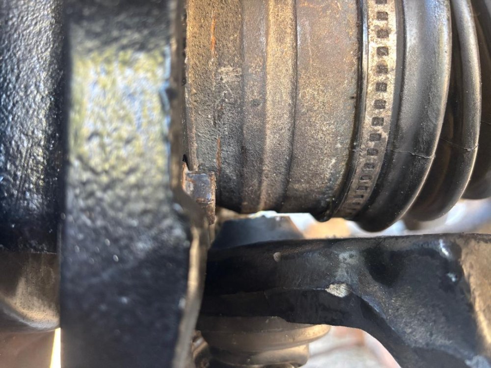 IMG_1743.jpeg IMG_1743.jpeg