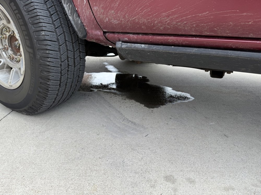 1770111082863.jpeg 1770111082863.jpeg