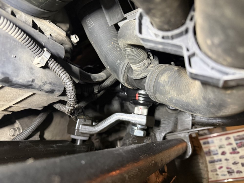 1770111199736.jpeg 1770111199736.jpeg