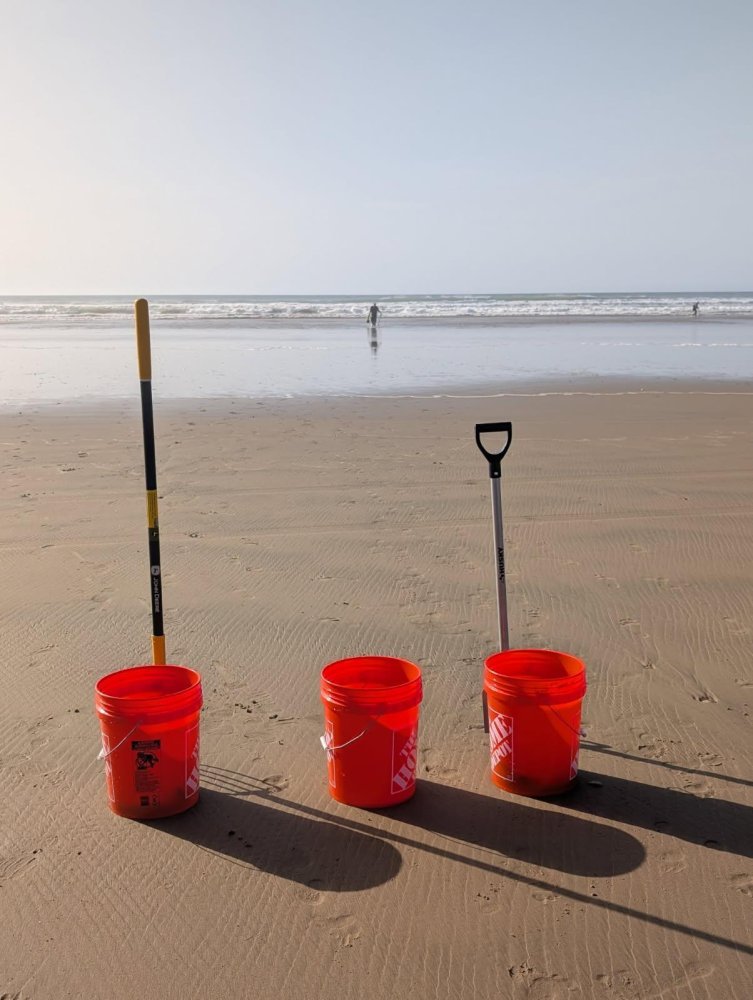 1770111768157.jpeg 1770111768157.jpeg