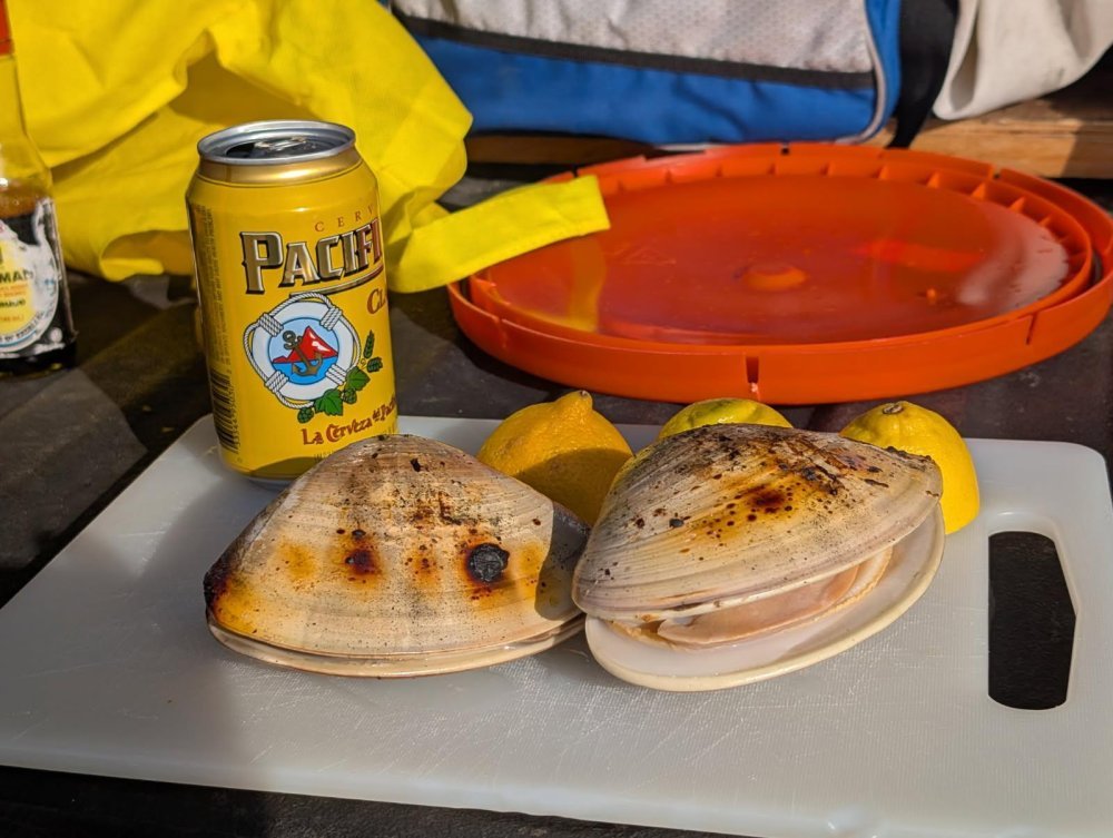 1770111787359.jpeg 1770111787359.jpeg