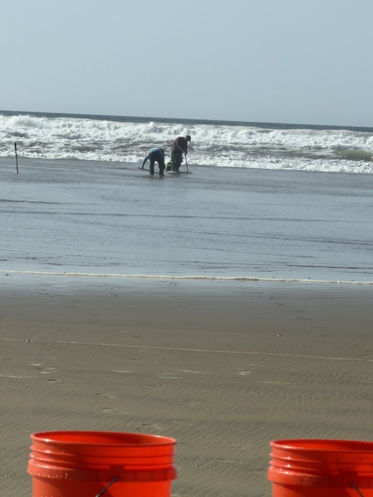 1770111821758.jpeg 1770111821758.jpeg