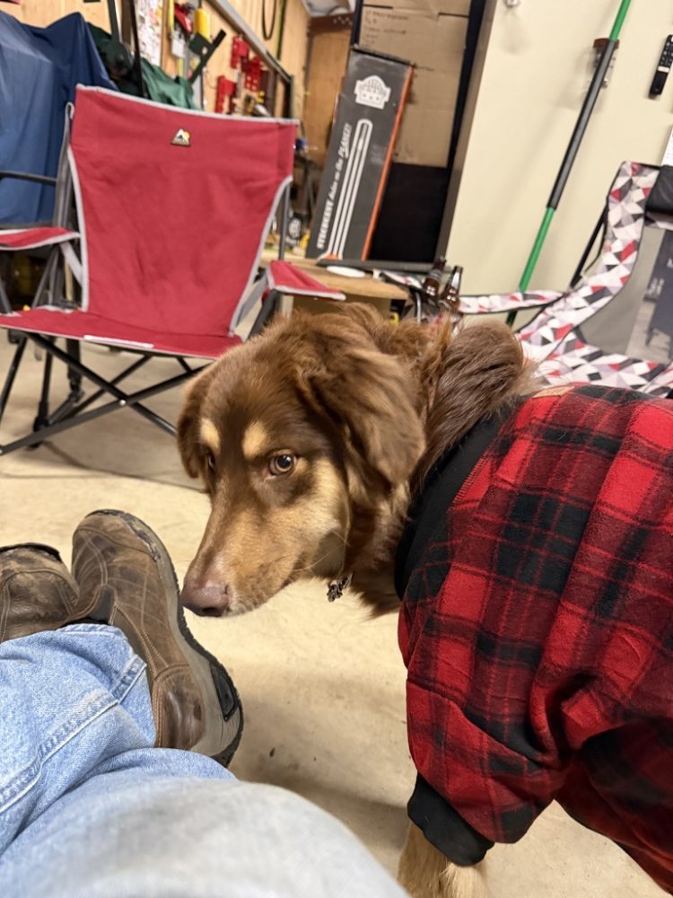 1770111965660.jpeg 1770111965660.jpeg