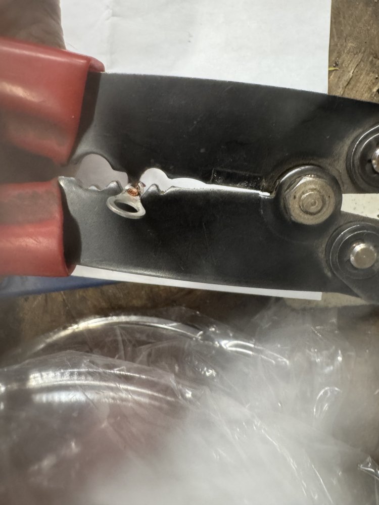 IMG_6174.jpeg IMG_6174.jpeg