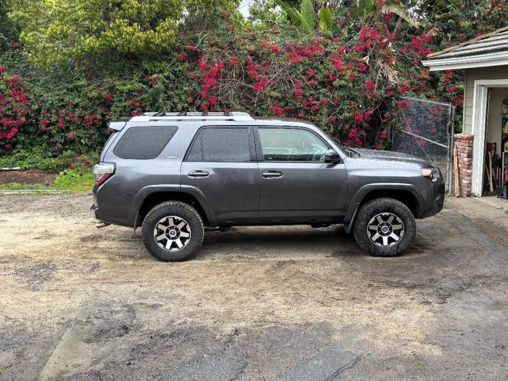 IMG_2663.jpeg IMG_2663.jpeg