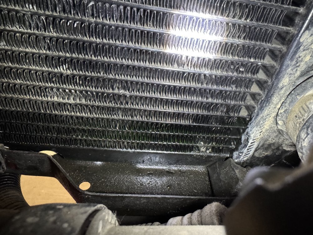 IMG_6492.jpeg IMG_6492.jpeg