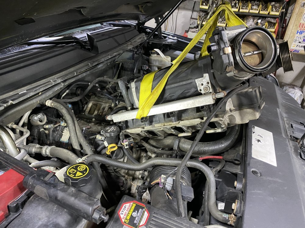 IMG_3219.jpeg IMG_3219.jpeg