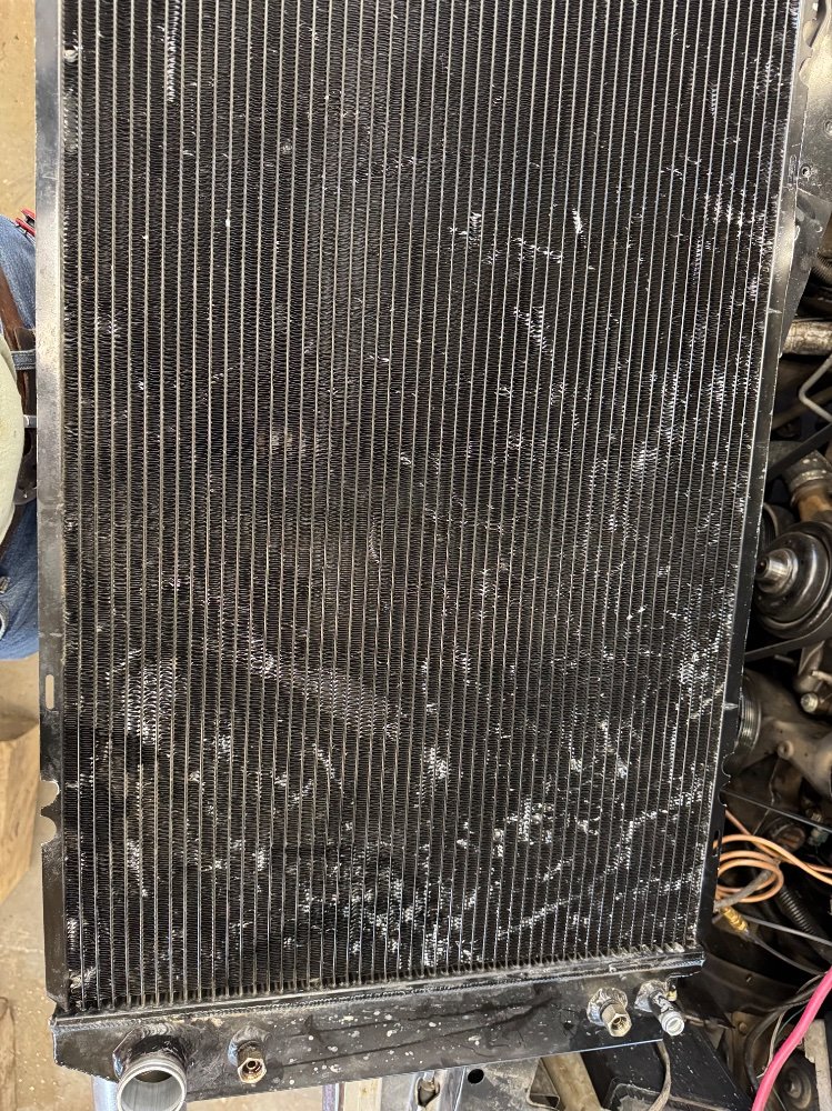 IMG_6834.jpeg IMG_6834.jpeg