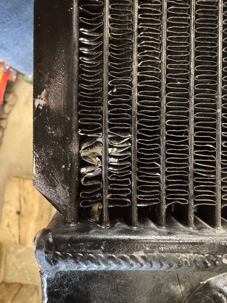 IMG_6835.jpeg IMG_6835.jpeg