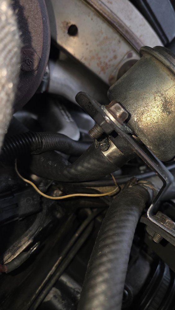 20260316_101151.jpg 20260316_101151.jpg